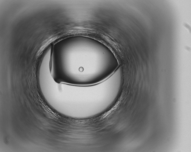 X0000096481453200802141710