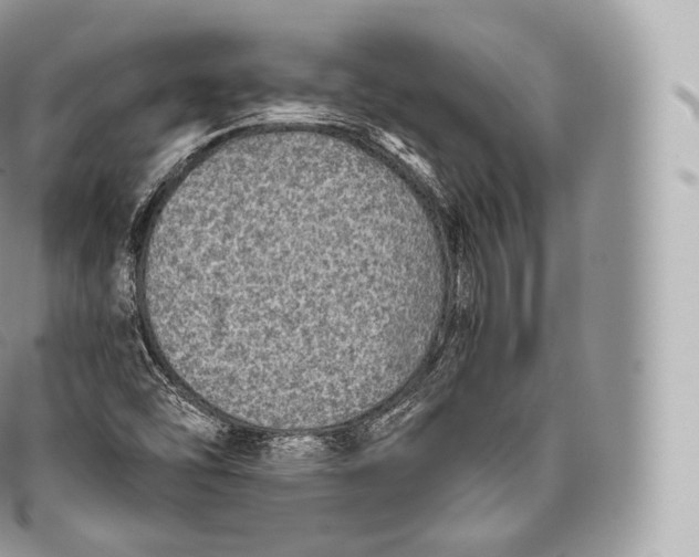 X0000096481454200802141710