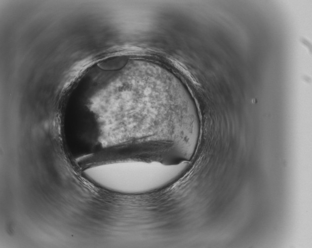 X0000096481455200802141710