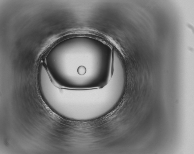 X0000096481456200802141710