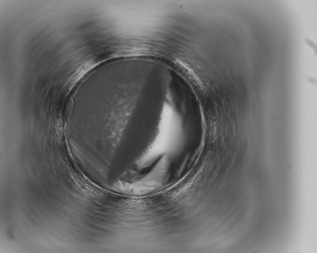 X0000096481457200802141710