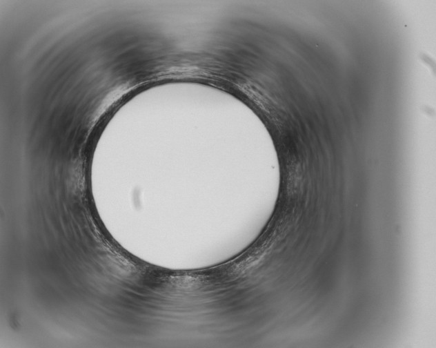 X0000096481458200802141710