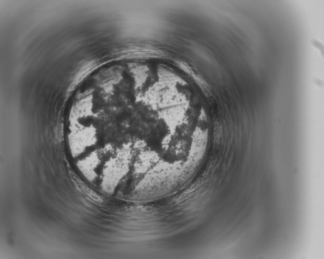 X0000096481459200802141710