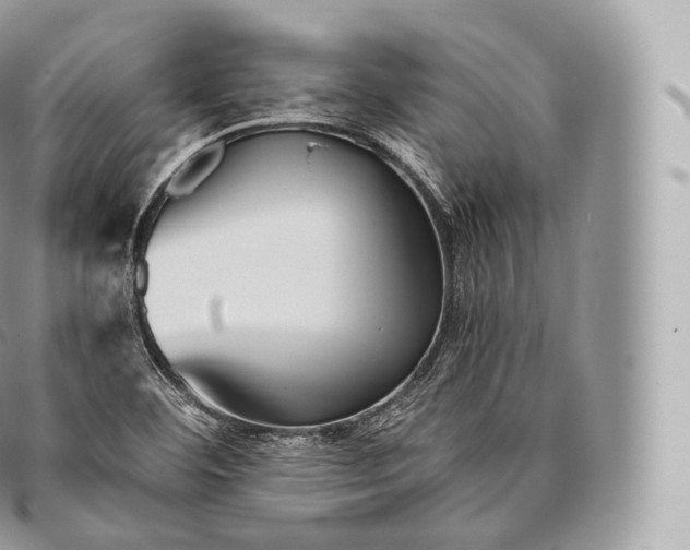 X0000096481460200802141710