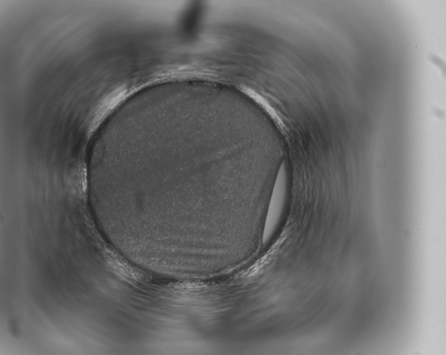 X0000096481461200802141710