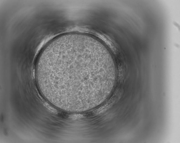 X0000096481462200802141710