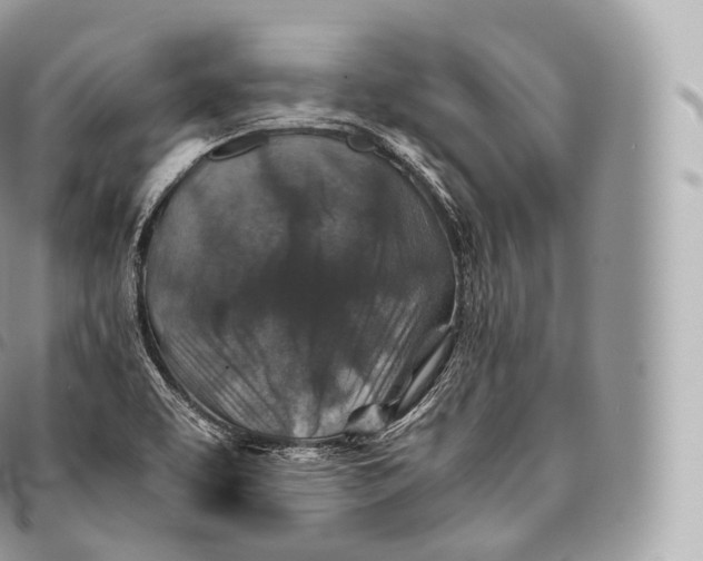 X0000096481463200802141710