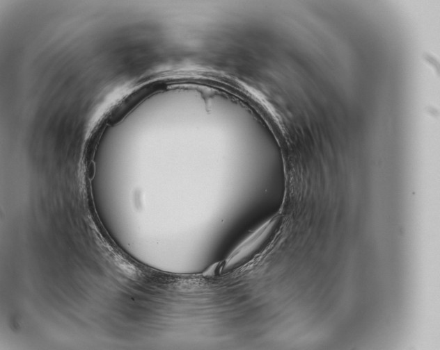 X0000096481464200802141710