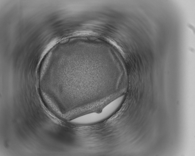 X0000096481467200802141710