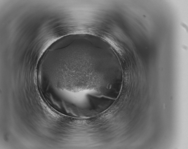 X0000096481468200802141710