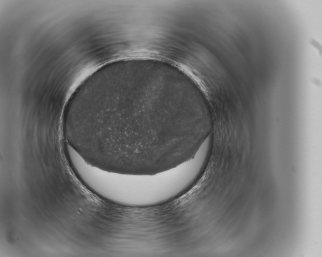 X0000096481469200802141710