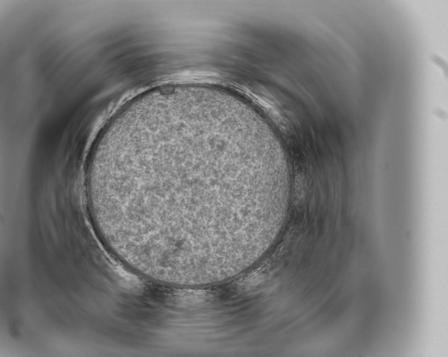 X0000096481470200802141710