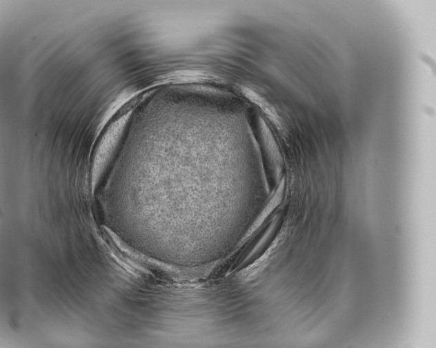 X0000096481473200802141710