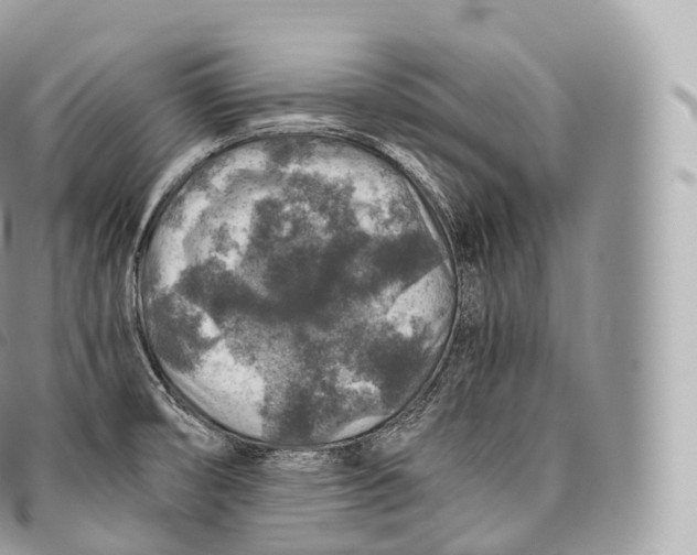 X0000096481474200802141710