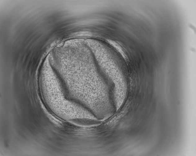 X0000096481475200802141710