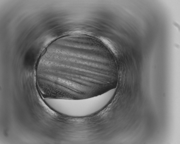 X0000096481476200802141709