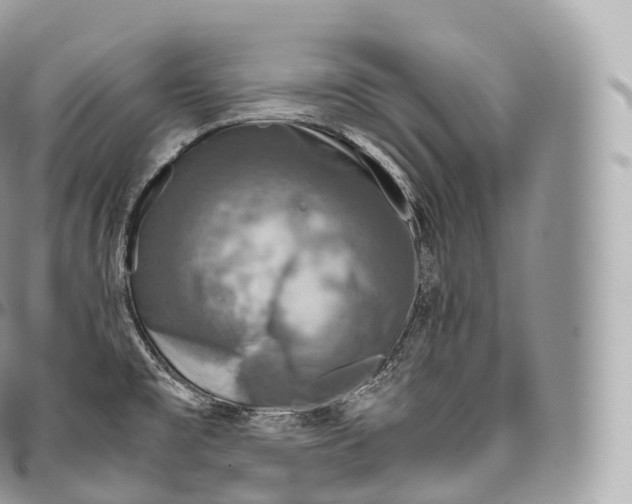 X0000096481477200802141709