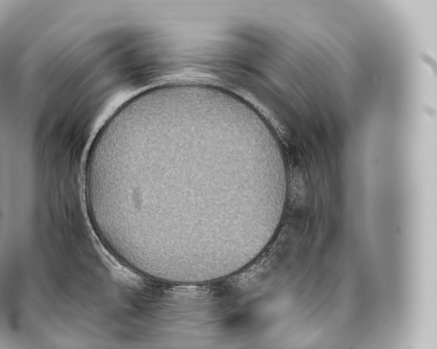 X0000096481478200802141709