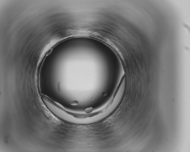 X0000096481480200802141709