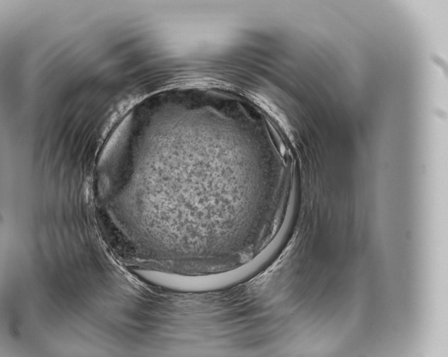 X0000096481481200802141709