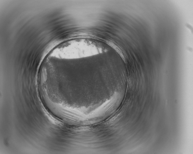 X0000096481482200802141709