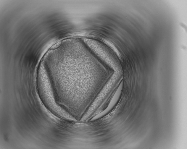 X0000096481483200802141709