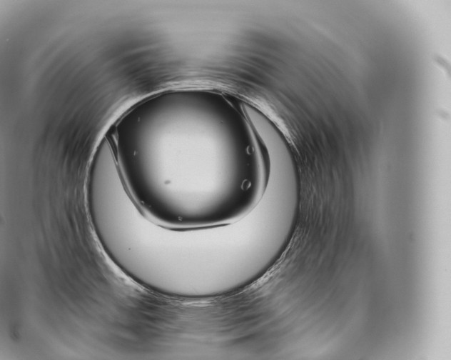 X0000096481484200802141709