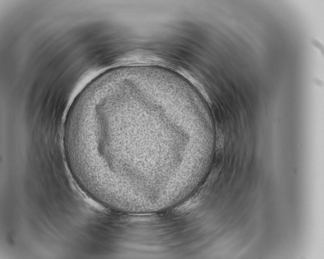 X0000096481486200802141709