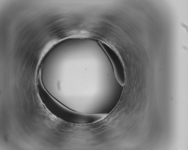 X0000096481488200802141709