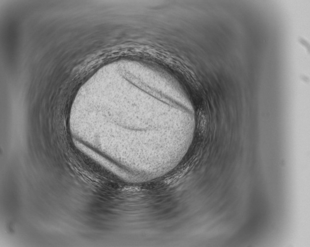 X0000096481489200802141709