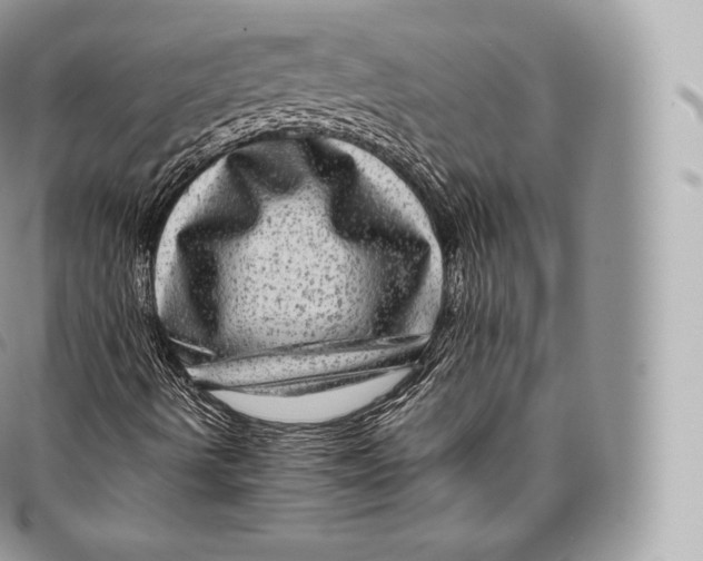 X0000096481490200802141709