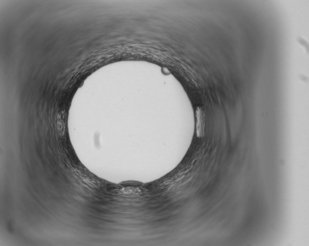 X0000096481491200802141709