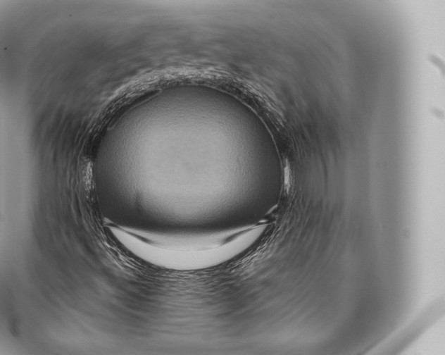 X0000096481492200802141709