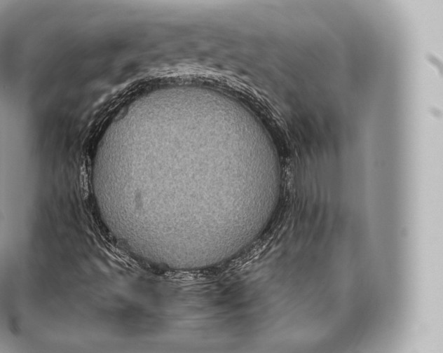 X0000096481493200802141709