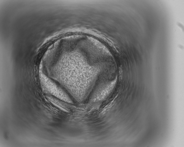 X0000096481494200802141709