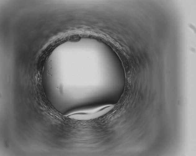 X0000096481495200802141709