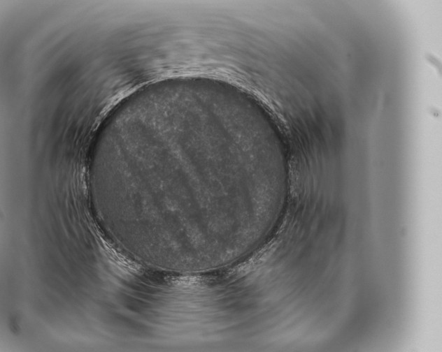 X0000096481497200802141709