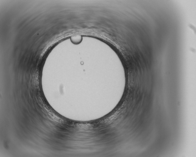 X0000096481498200802141709