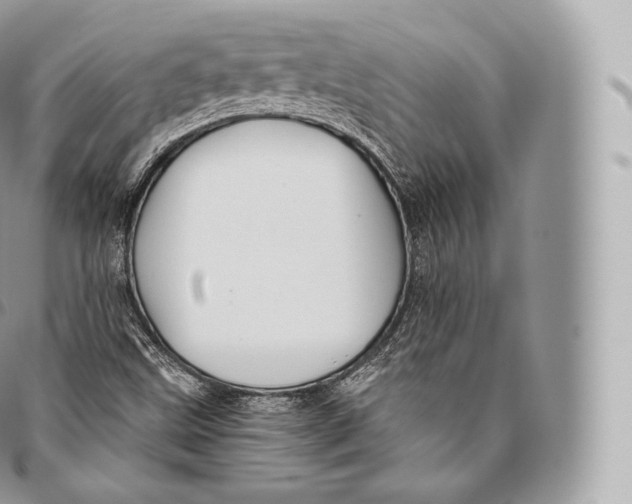 X0000096481499200802141709