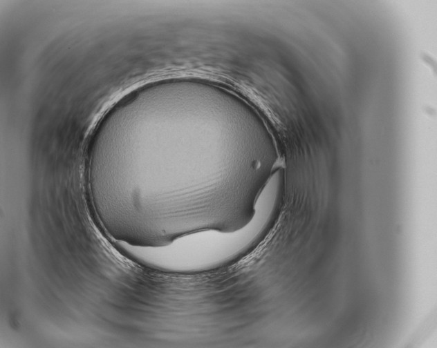 X0000096481500200802141709