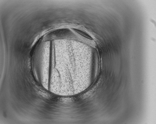 X0000096481501200802141709