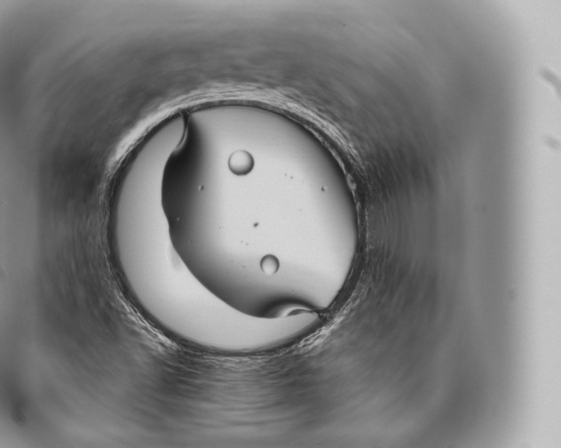 X0000096481502200802141709