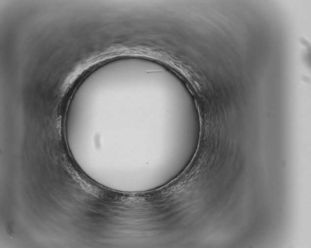 X0000096481503200802141709