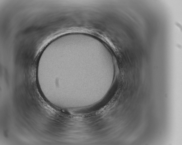 X0000096481504200802141709