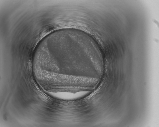 X0000096481505200802141709