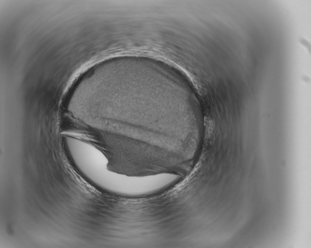 X0000096481506200802141709