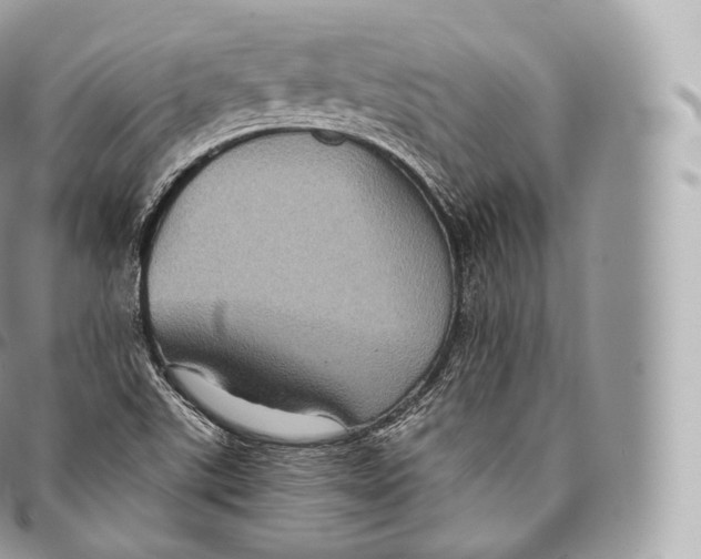 X0000096481507200802141709