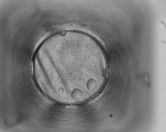 X0000096481509200802141709