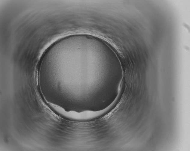 X0000096481510200802141709