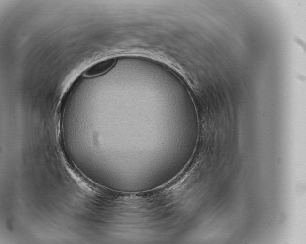 X0000096481511200802141709